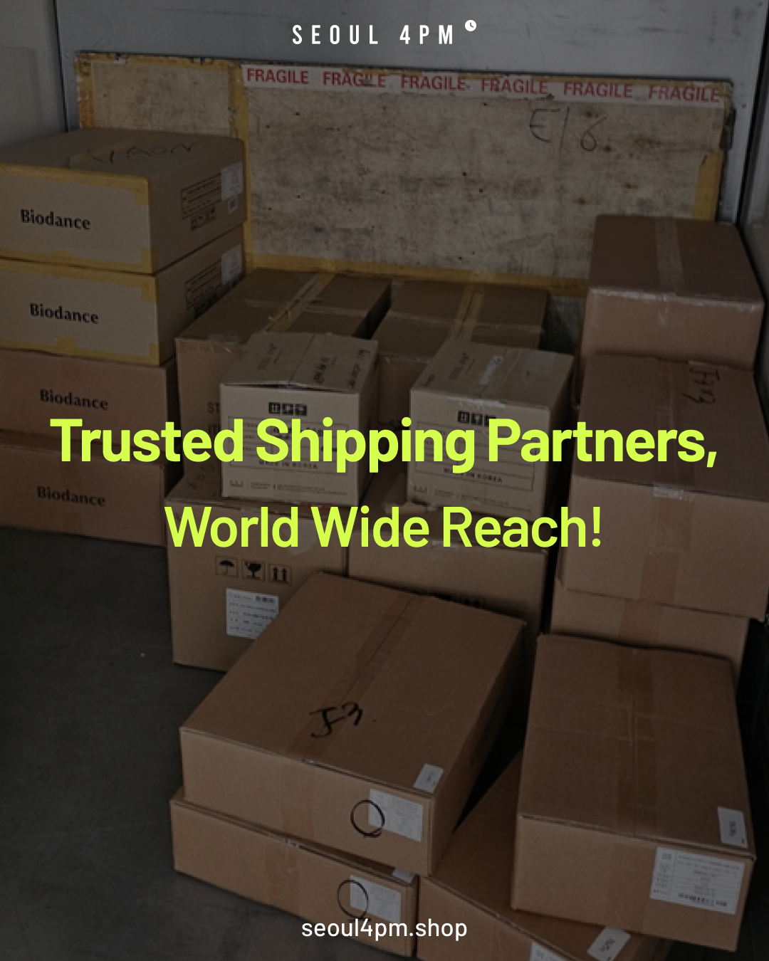 Trusted Shipping Partners, World Wide Reach
